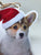 Corgi in Santa Hat Ornament